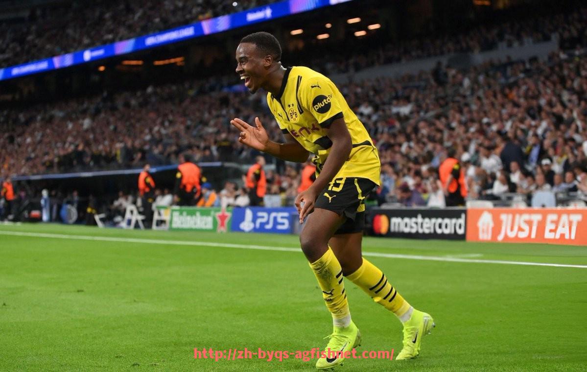 AG捕鱼王官网-那些曾辉煌一时的德甲俱乐部：历史荣誉与低谷并存