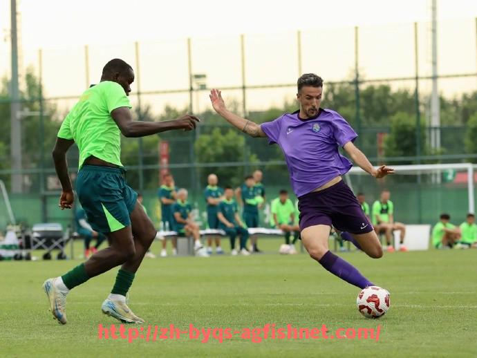 AG捕鱼王官网-法甲球员赛季比赛贡献分析：从比赛出勤率到关键时刻表现