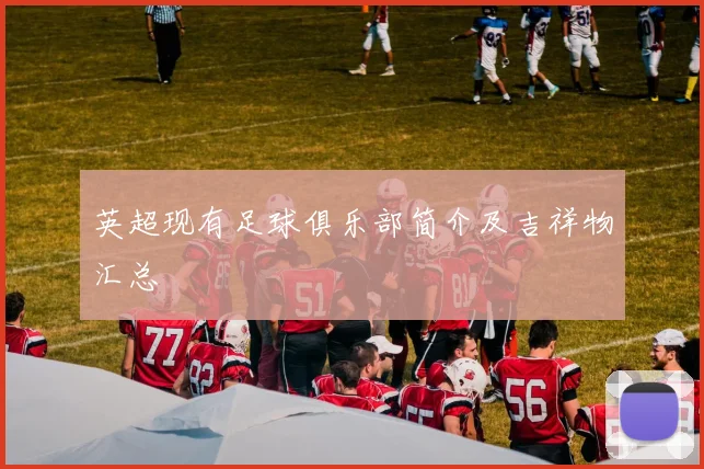 英超现有足球俱乐部简介及吉祥物汇总