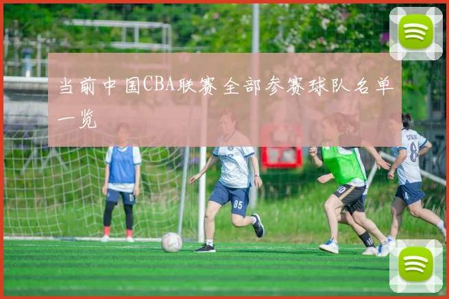 当前中国CBA联赛全部参赛球队名单一览