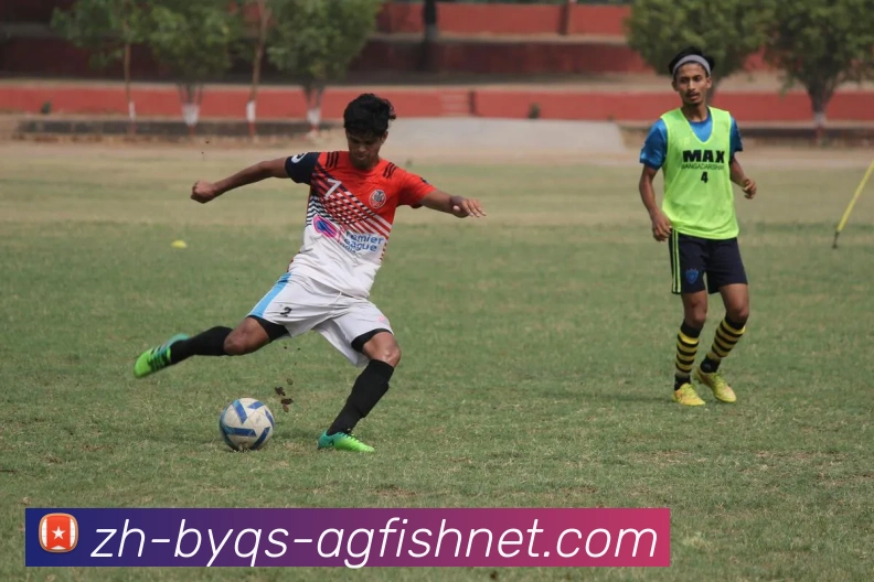 AG捕鱼王官网APP 封面图